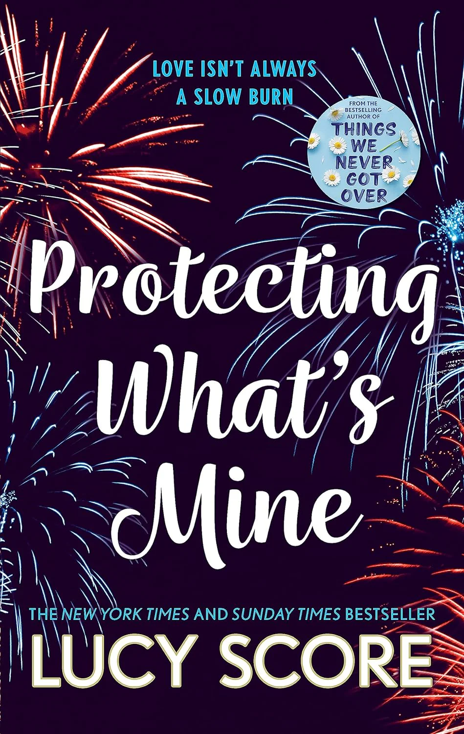 Protecting What's Mine (Benevolence, #3) by Lucy Score