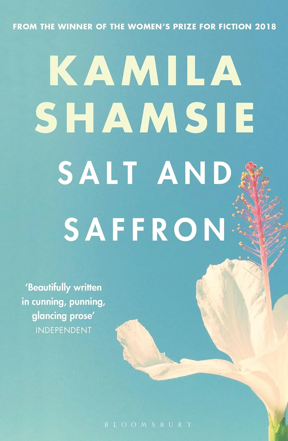 Salt and Saffron by Kamila Shamsie